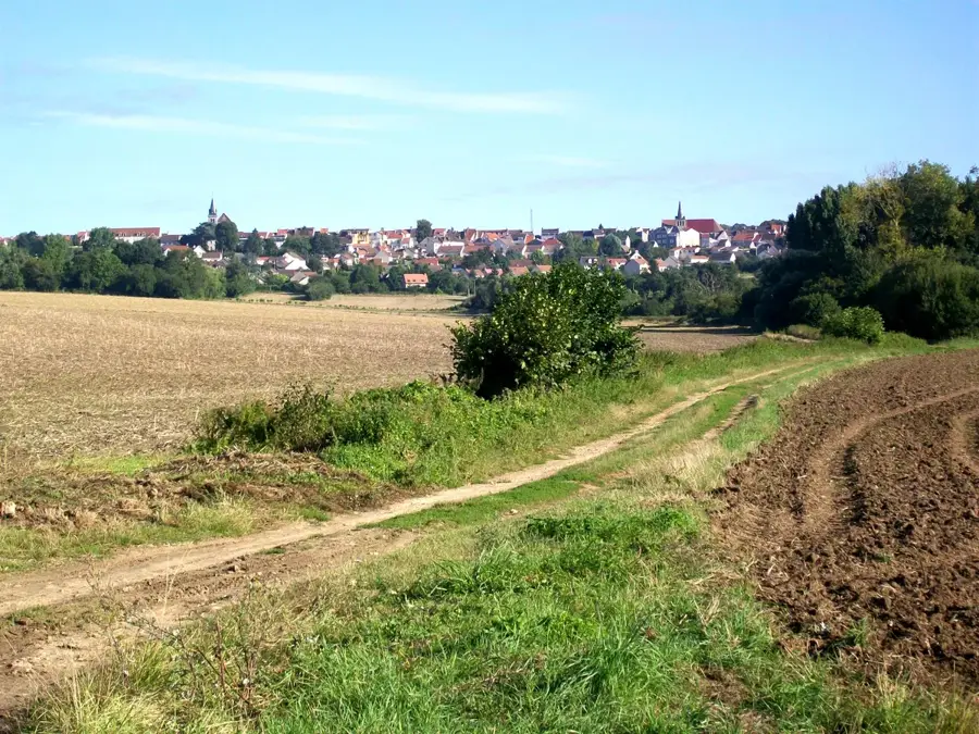 Dammartin-en-Goële – city