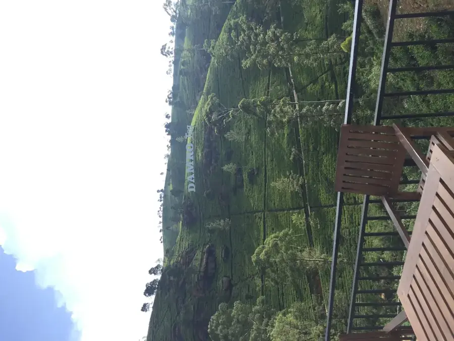 Plantația de Ceai Damro Labookellie