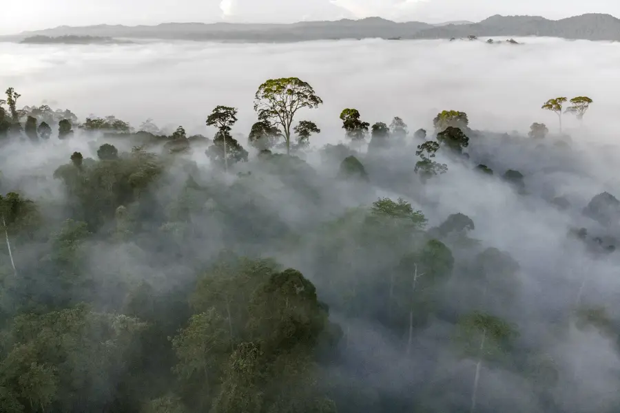 Danum-Tal-Schutzgebiet — Lahad Datu (Malaysia)