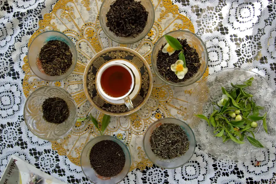 Plantațiile de ceai din Darjeeling