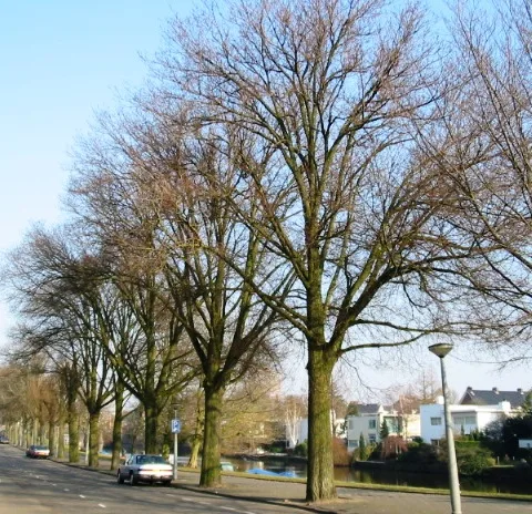 Hørsholm — Frederiksborg kastély (Dánia)