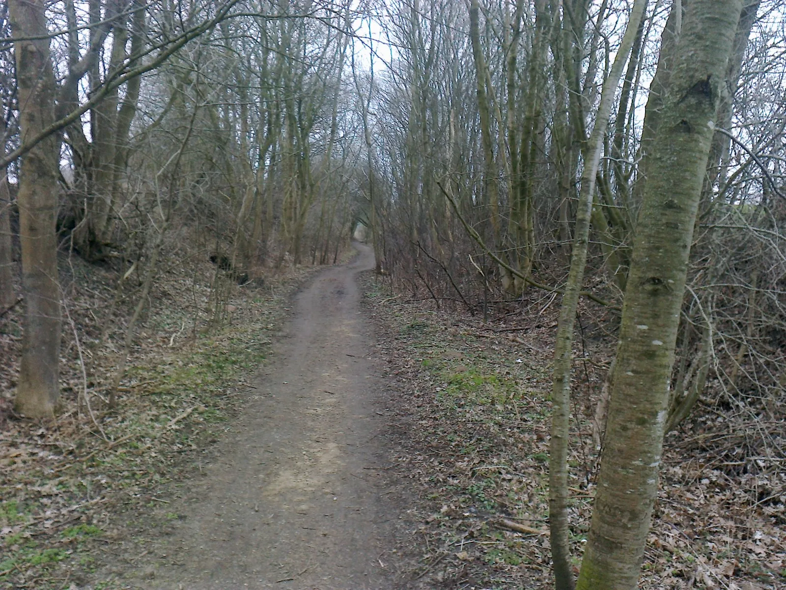 Rantzausminde — Dybbøl Banke (Dänemark)
