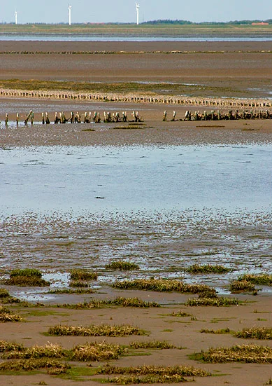 Wadden Sea National Park