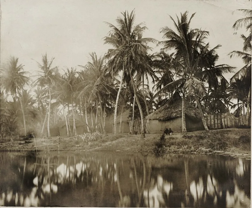 Denu-Küstenebene — Denu (Ghana)