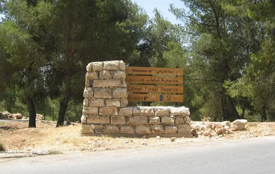 Dibbeen Forest Reserve