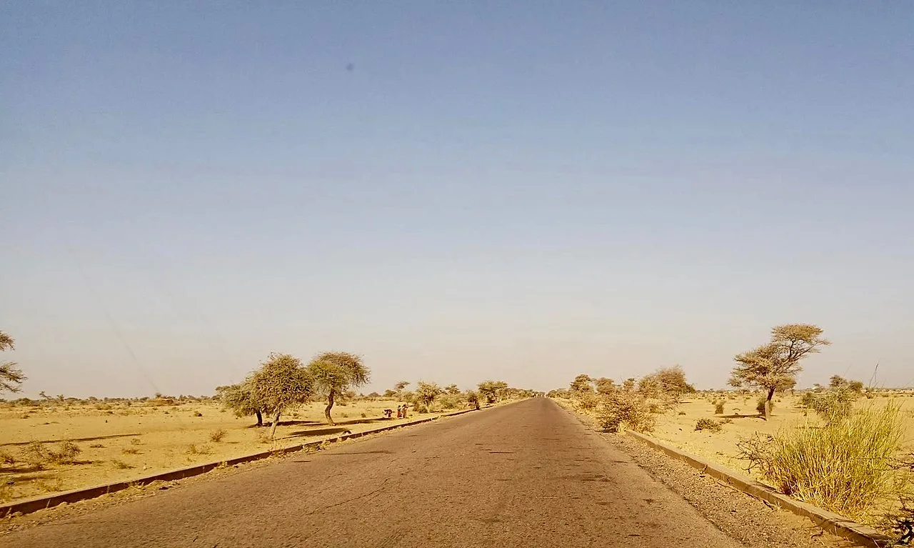 Diffa Obstgarten — Diffa Gemüsebau (Niger)