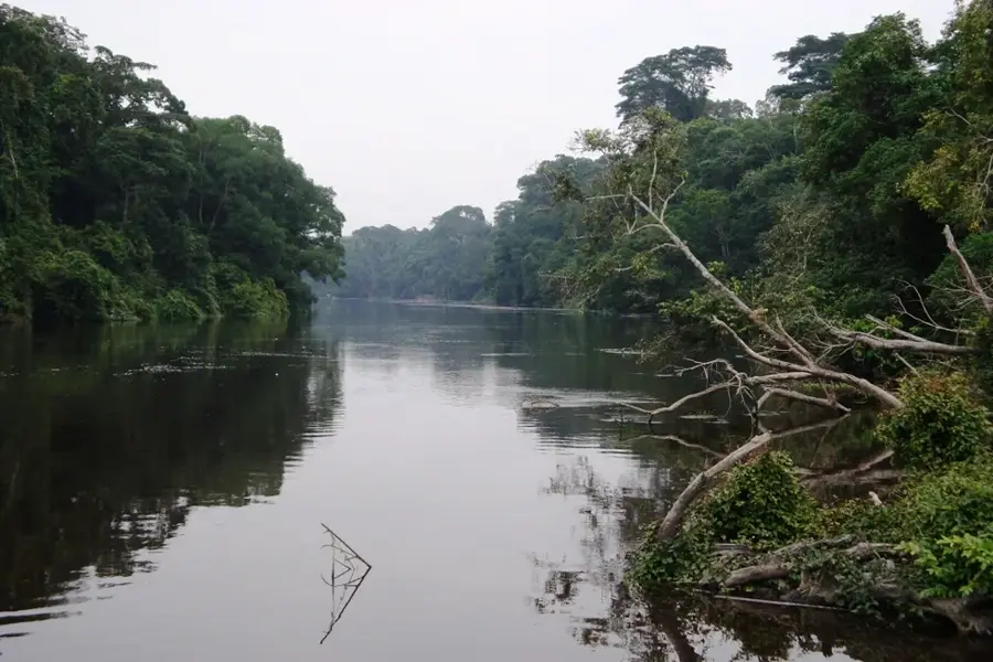 Dja-Fluss — Sangmélima (Kamerun)