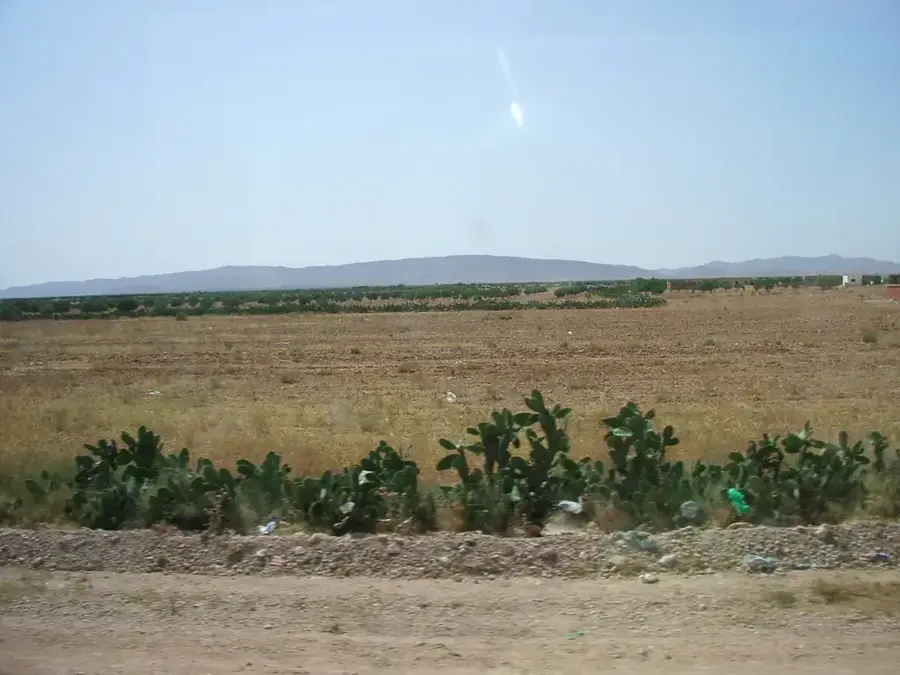 Djebel Hamra — Manouba (Tunesien)