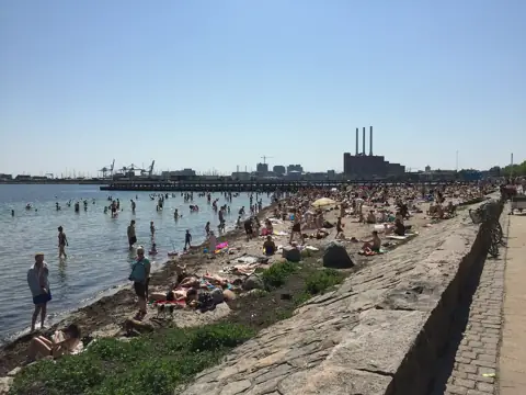 Svanemølle Beach