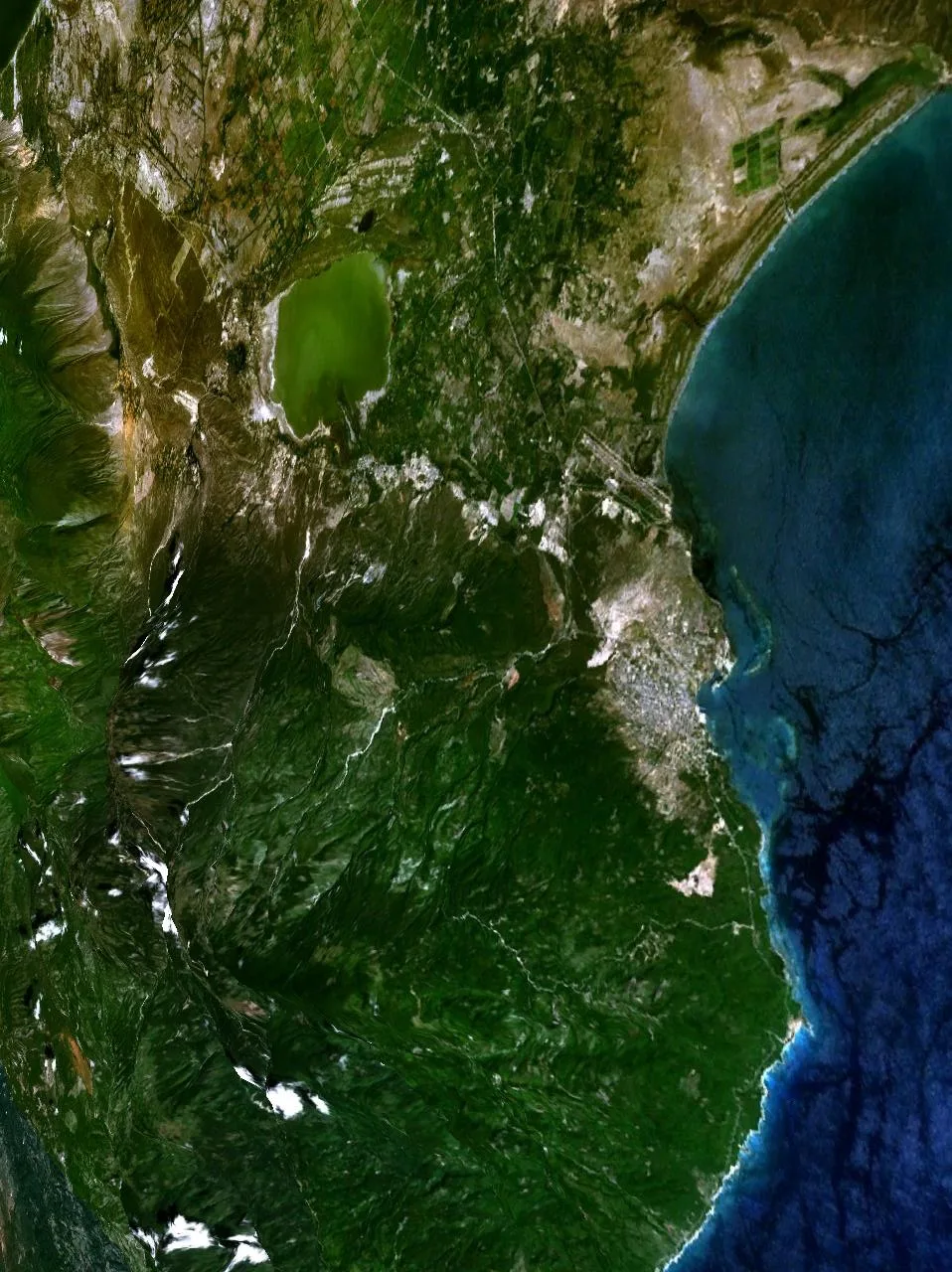 Barahona Coffee Plantations — Barahona (Dominican Republic)
