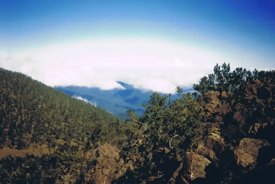 Cordillera Central — Jánico (Republica Dominicană)