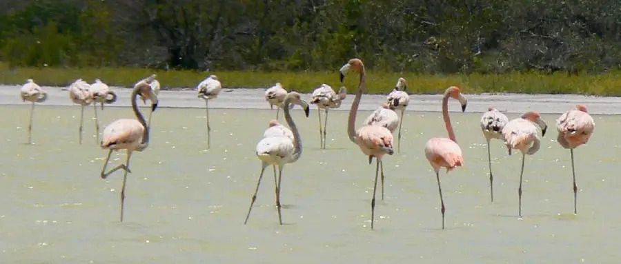 Jaragua National Park — Neiba (Dominican Republic)