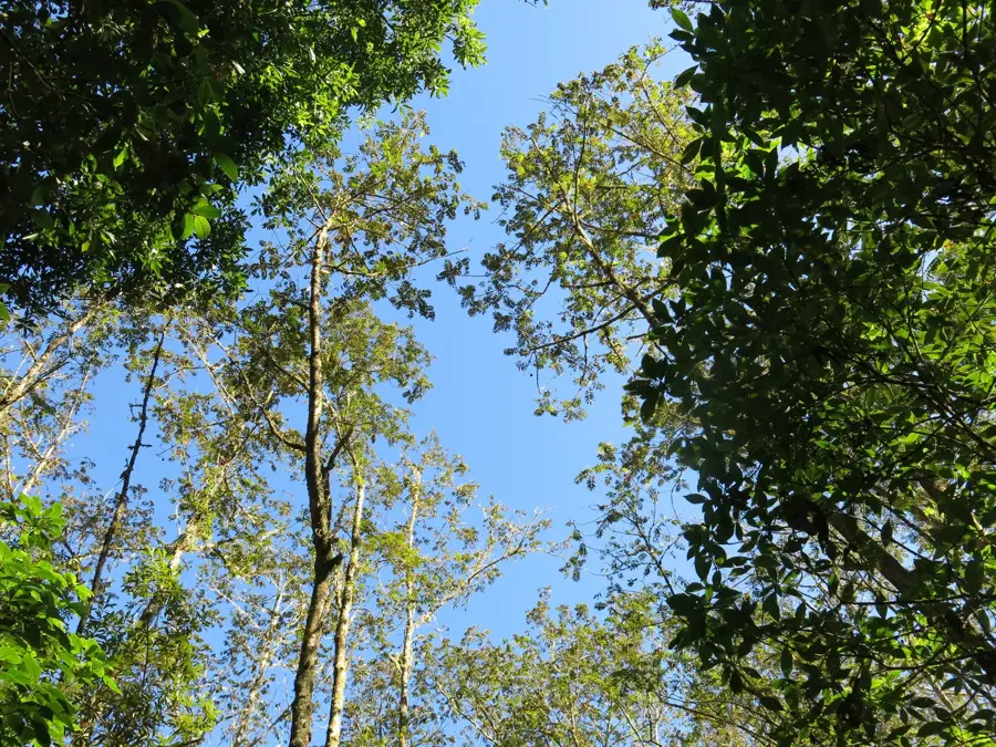 Sierra de Bahoruco — Los Ríos (Dominican Republic)