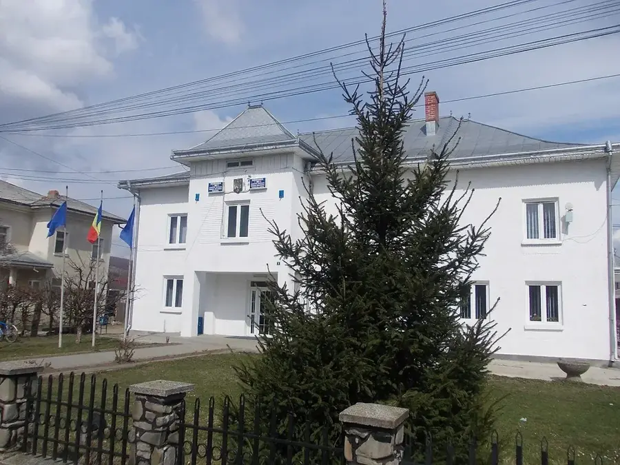 Dolhasca – oraș
