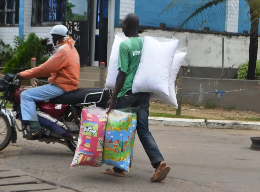 Douala kakaóültetvény — Edéa (Kamerun)