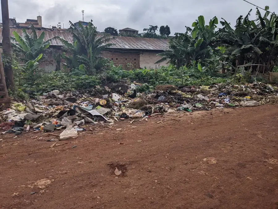 Muzeul Civilizațiilor din Dschang — Bangangté (Camerun)