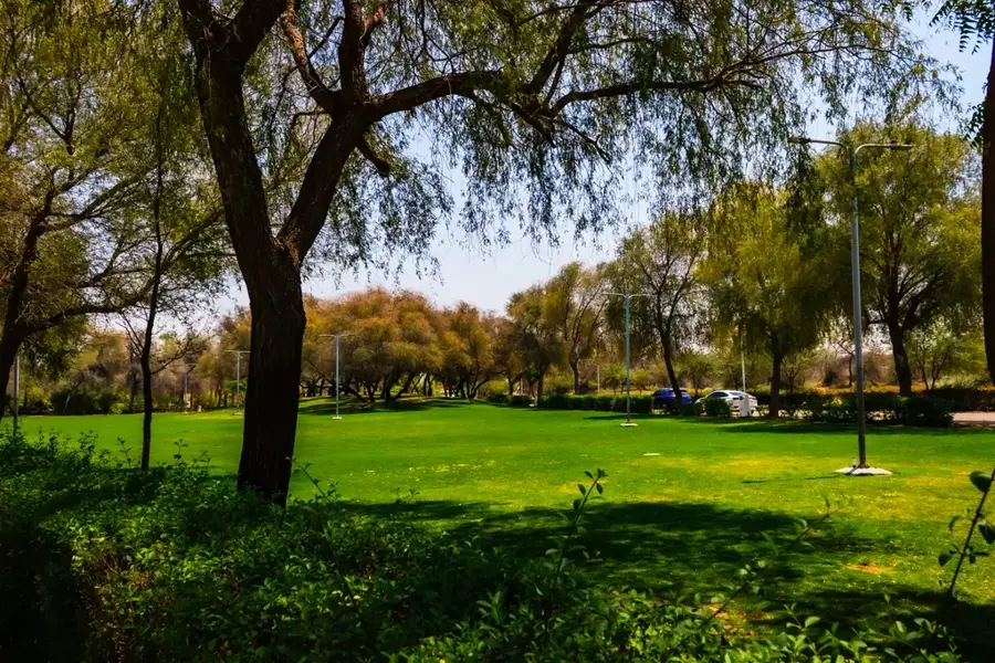 Parcul de Crocodili Dubai — Munții Hatta (Emiratele Arabe Unite)