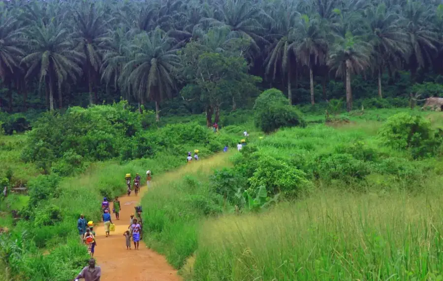 Pădurea Dulombi — Gabú (Guineea-Bissau)