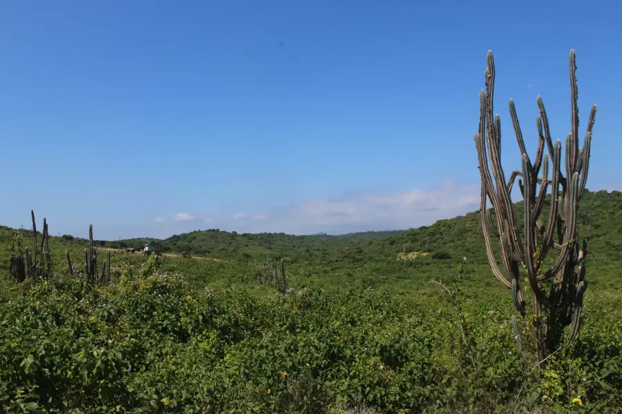 Ayangue