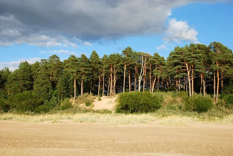 Narva-Jõesuu Beach