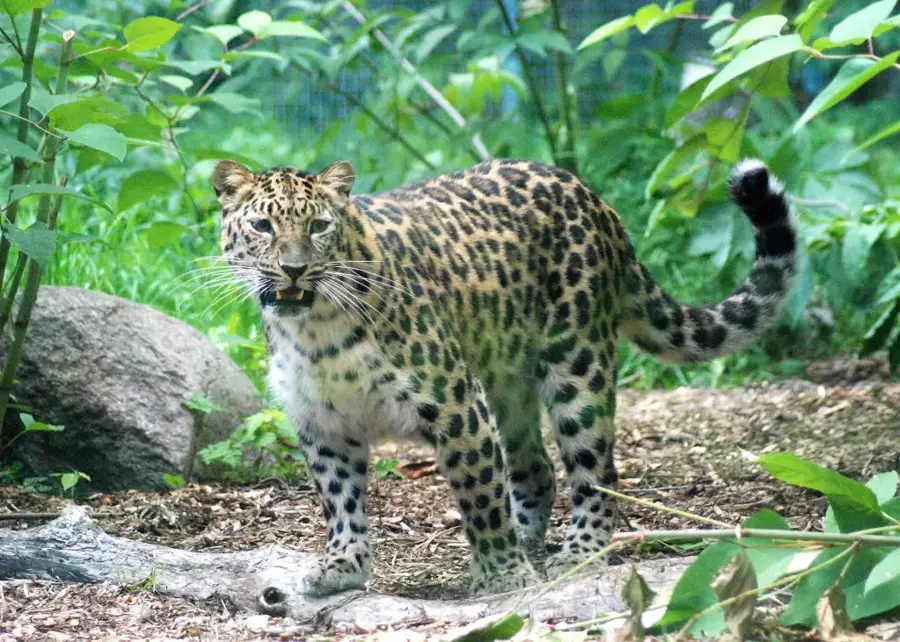 Tallinn Zoo