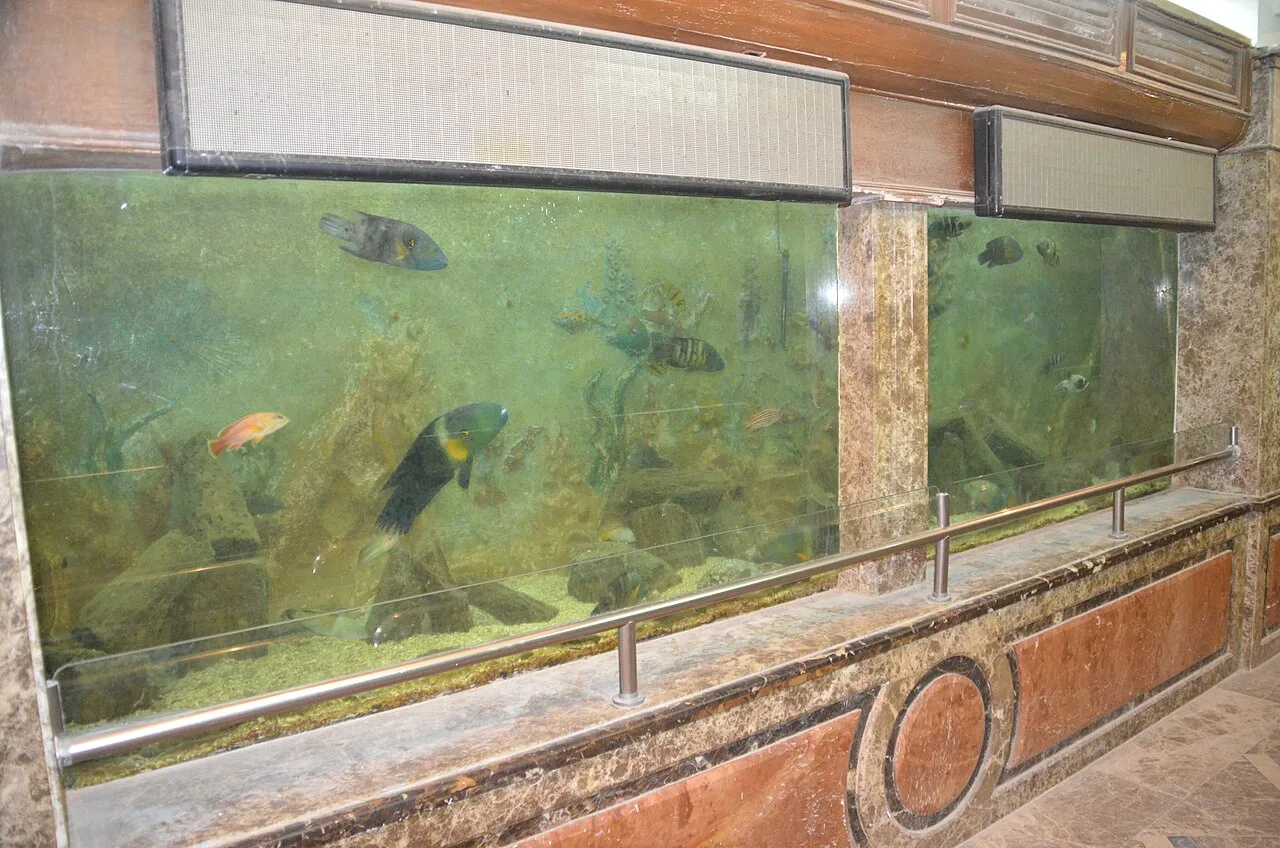 Citadela lui Qaitbay — Podul Stanley (Egipt)