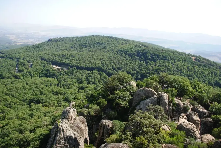 El Feija Wald — Souk Ahras (Algerien)