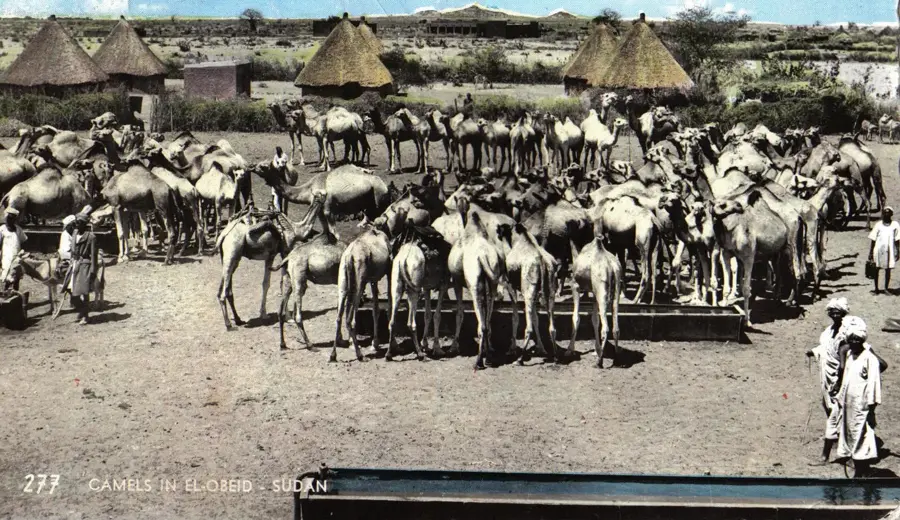 Rafinăria de Petrol El Obeid — El Obeid (Sudan)