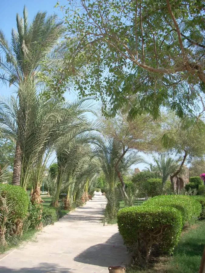 al-Qusair