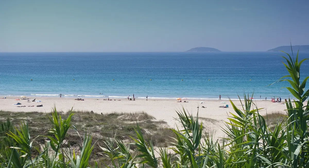 Montalvo Beach