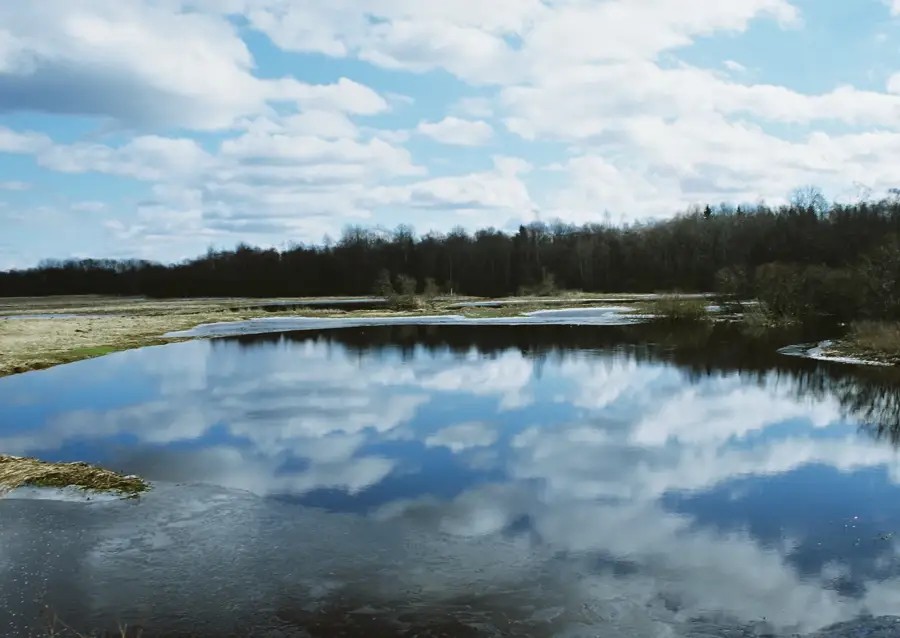 Rezervația Naturală Alam-Pedja — Castelul Kastre (Estonia)