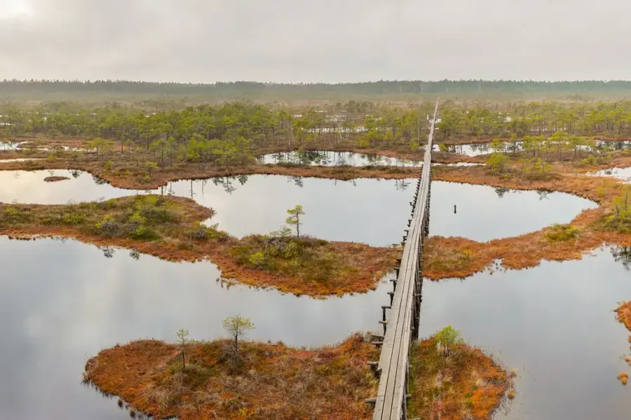Rezervația Naturală Endla — Rezervația Naturală Alam-Pedja (Estonia)