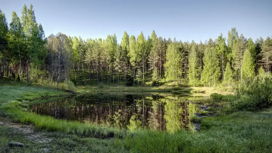Rezervația peisagistică Mustoja — Dealul Torni (Estonia)