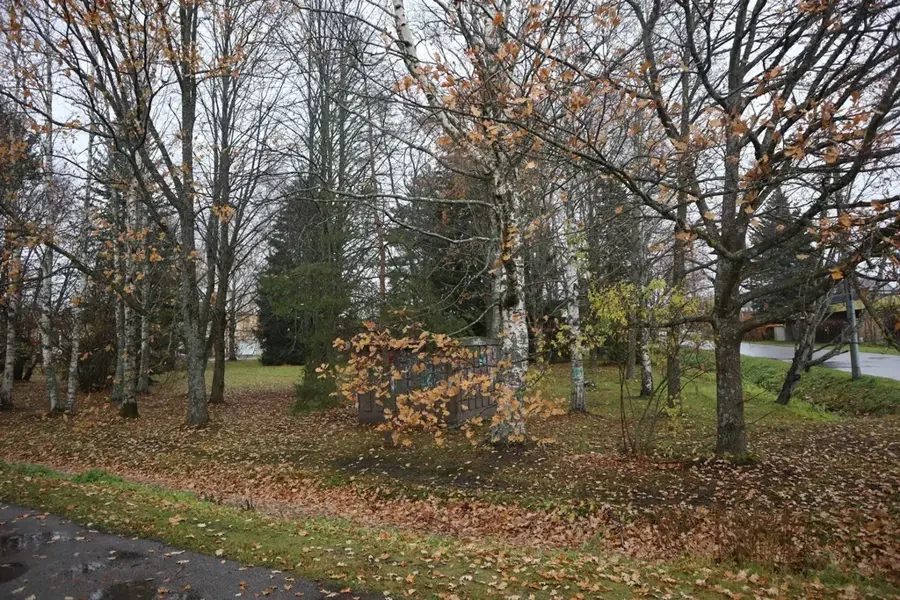 Salme Park