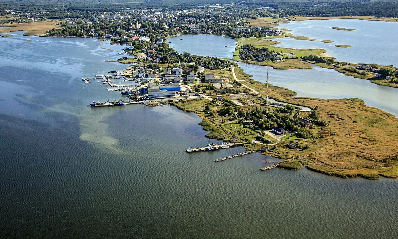 Väike Viik Park