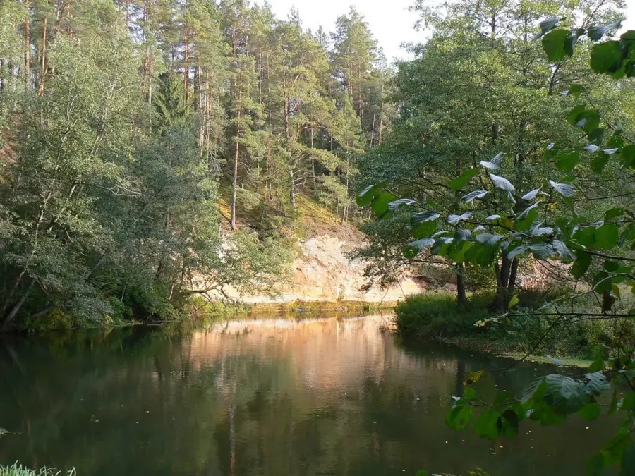 Râul Võhandu — Dealul Torni (Estonia)