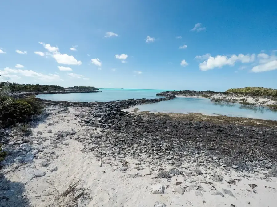Fauna of Exuma Cays Land and Sea Park — Black Point Dock (Bahamas)