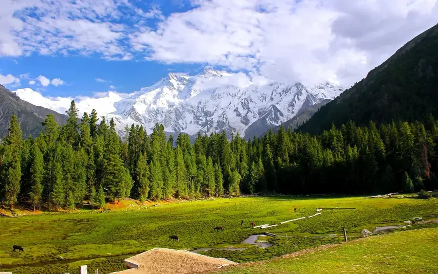 Fairy Meadows — Spantik (Pakistan)