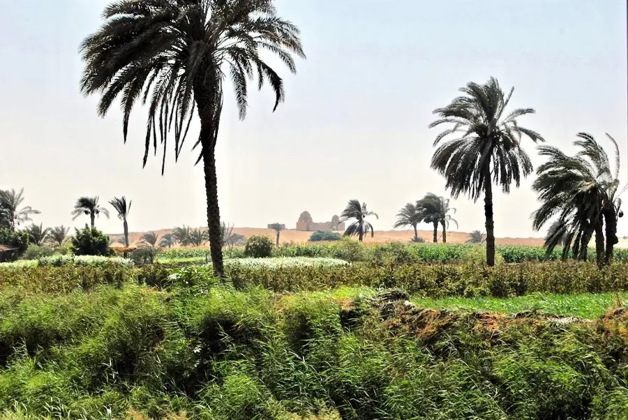 Faiyum — Ferme Beni Suef (Egipt)