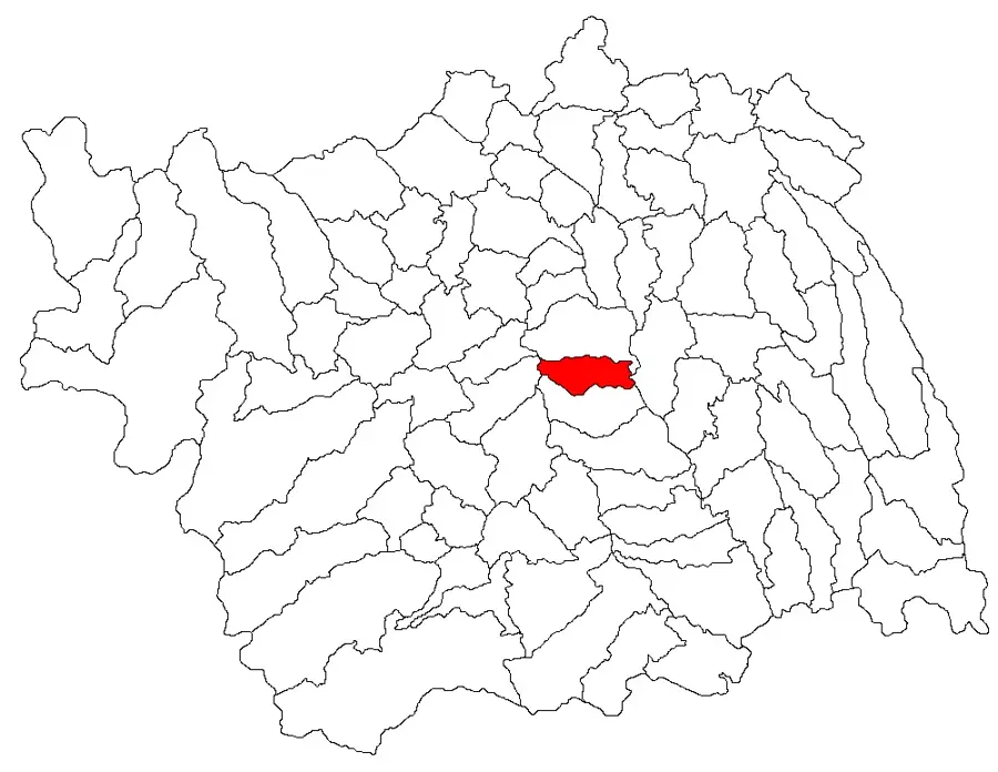 Faraoani – oraș