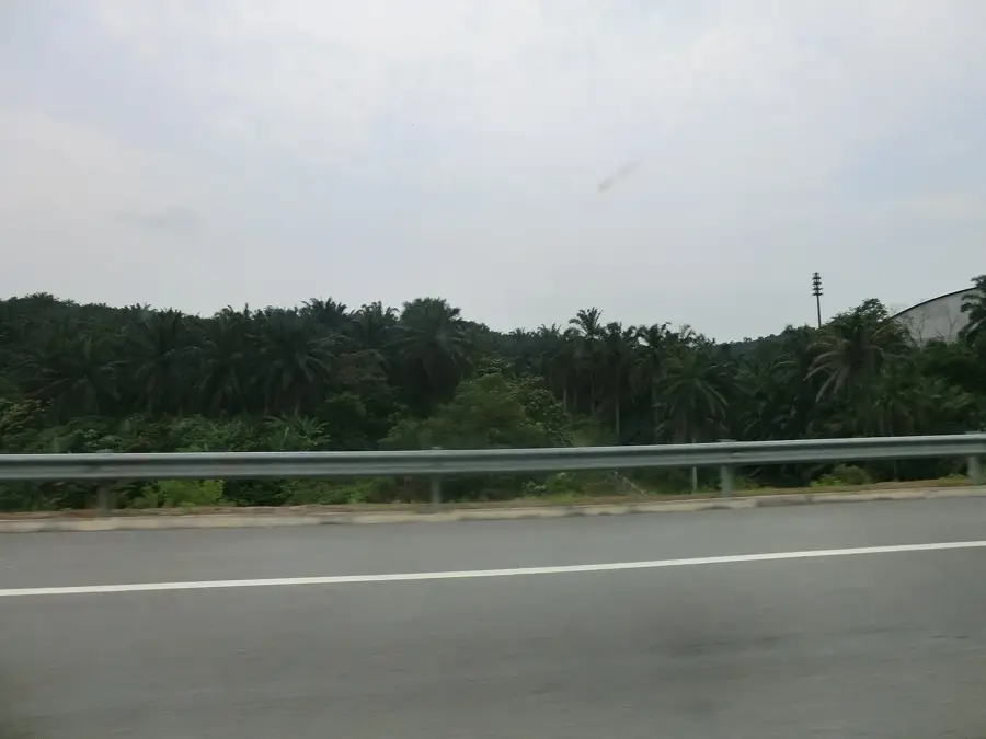 Farm in the City — Klang (Malaysia)