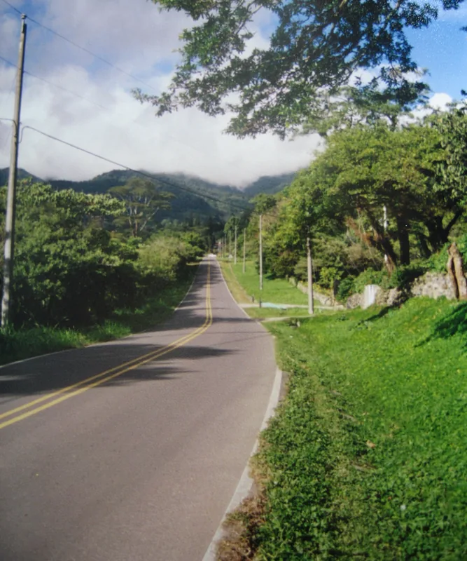 Coffee Farm in Boquete