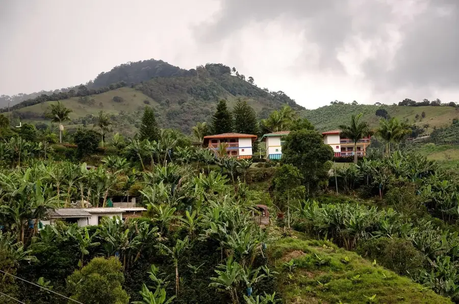 Highland Coffee Finca — El Tortuguero (Nicaragua)