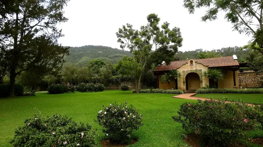 Finca Filadelfia Coffee Resort — Guatemala Dairy Processing (Guatemala)