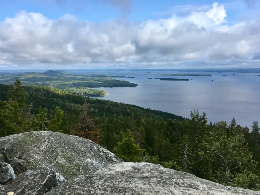 Koli
