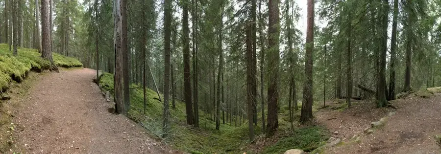 Seitseminen National Park — Sarkanniemi (Finland)