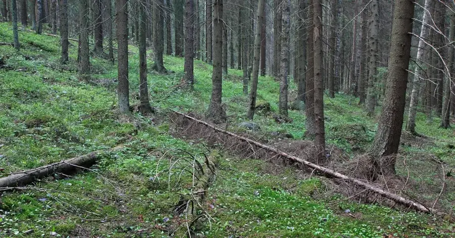 Sipoonkorpi Nationalpark