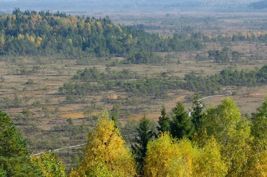Torronsuo — Valkeakoski (Finland)
