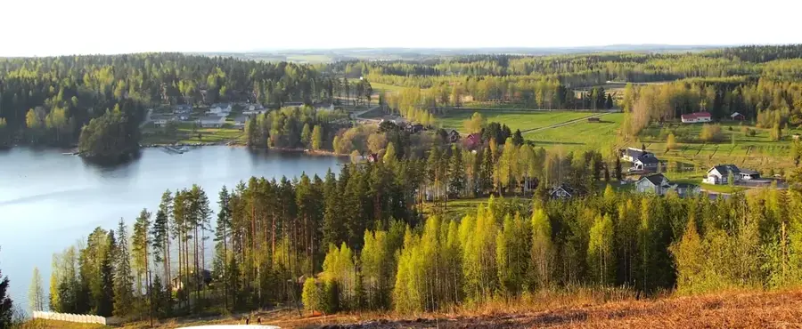 Viitasaari