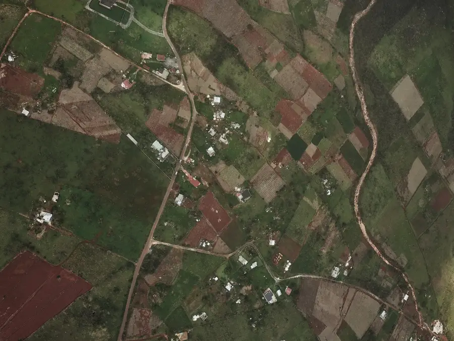 Flagaman Melon Farms — Appleton Estate (Jamaica)